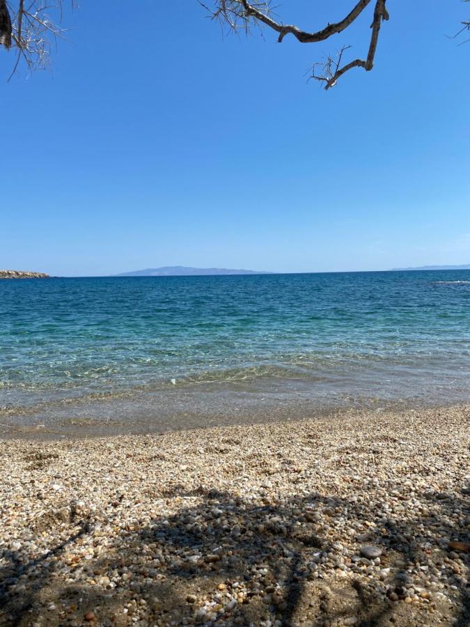 Nissiotiko Hotel Drios Dış mekan fotoğraf