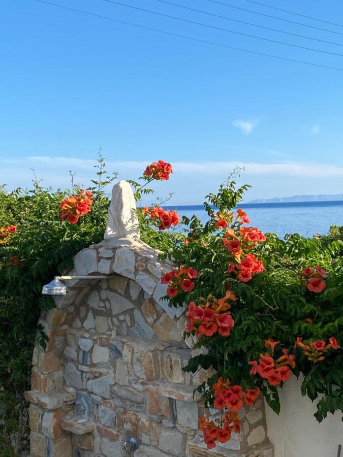 Nissiotiko Hotel Drios Dış mekan fotoğraf